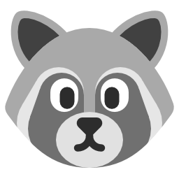 raccoon