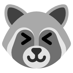 raccoon_x3